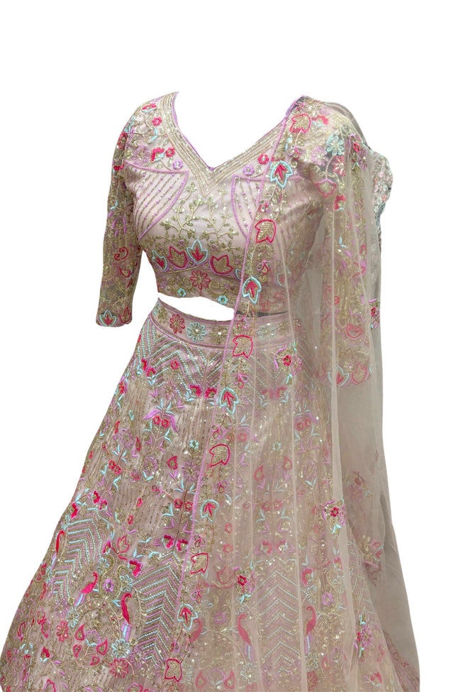 Champagne Flared Premium Butterfly Net Embroidered Lehenga Set Main Image