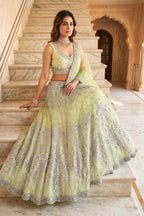 Semi-Stitched Butterfly Net Foil Mirror & Sequins Embroidered Lehenga Set